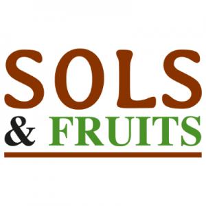logo sol et fruit