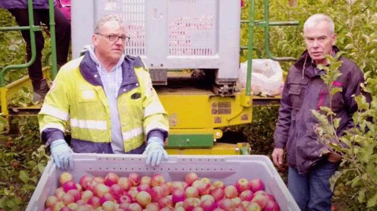 Producteur purée de pommes des consommateurs C'est qui le Patron