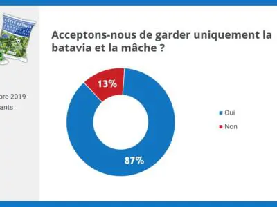 résultat consultation sociétaires salade c'est qui le patron