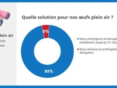 consultation sociétaires oeufs plein air