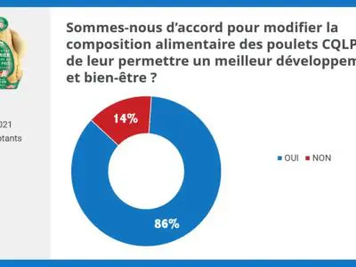 changement de l'alimentation des poulets label rouge c'est qui le patron
