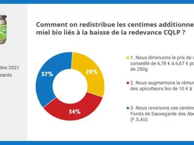Consultation sociétaire C'est qui le Patron