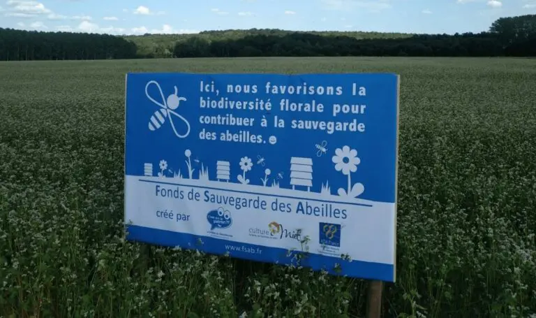 Fonds de sauvegarde des Abeilles - FSAB