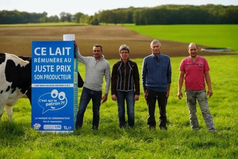 producteurs et brique de lait c'est qui le patron