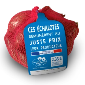 Echalottes CQLP