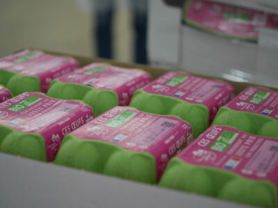 packaging oeufs bio CQLP